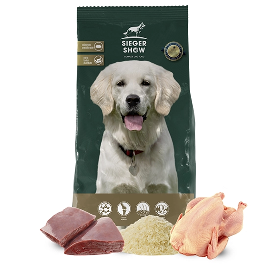 Siegershow High Power