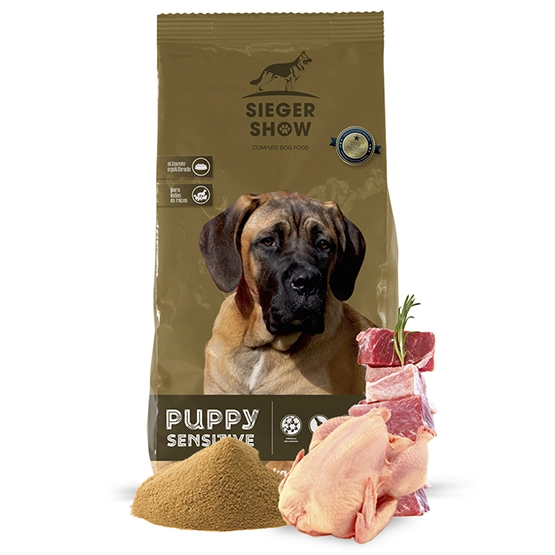 Siegershow Puppy Sensitive